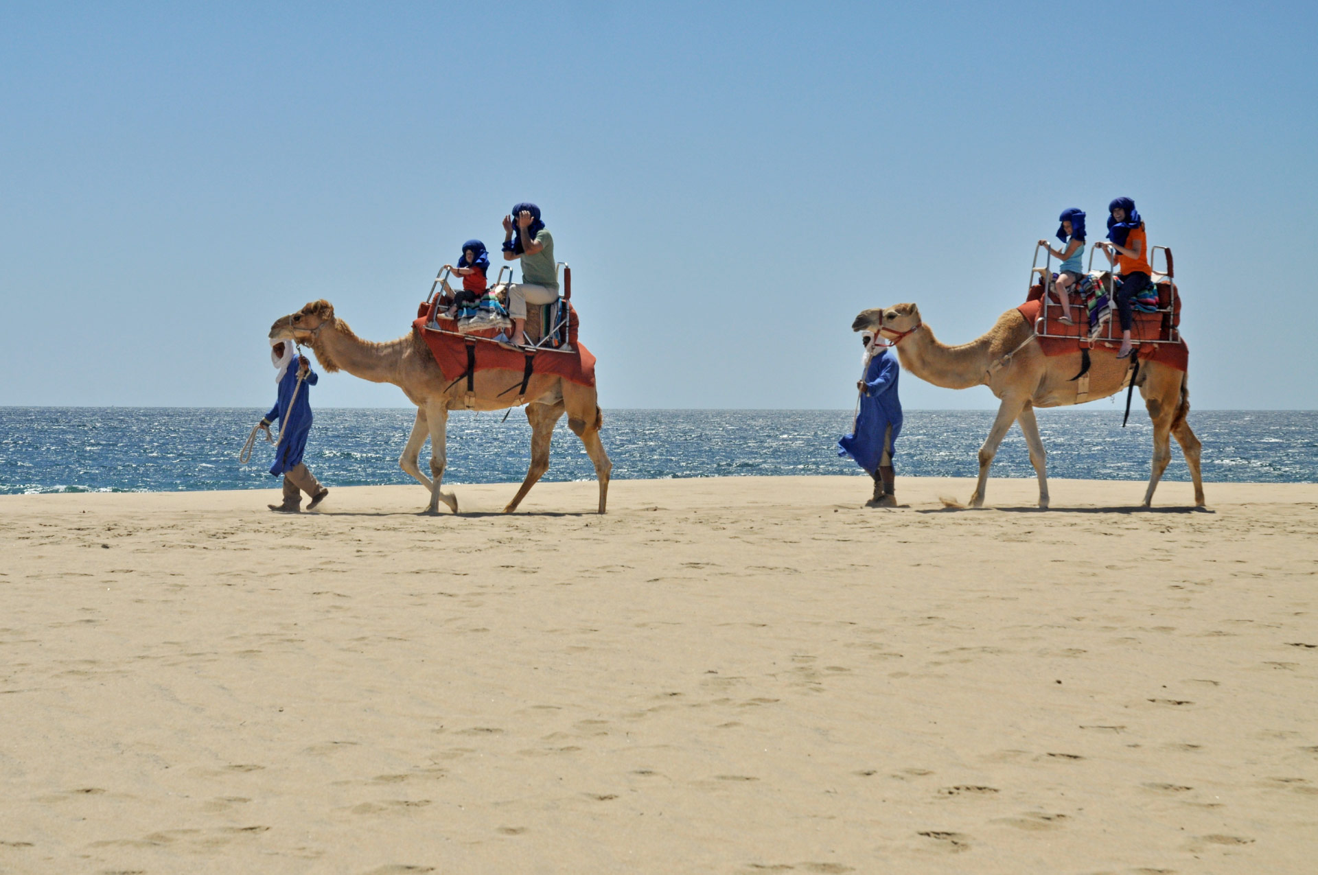 Recorrido en camello en el desierto de Los Cabos Baja California Sur, Mexico