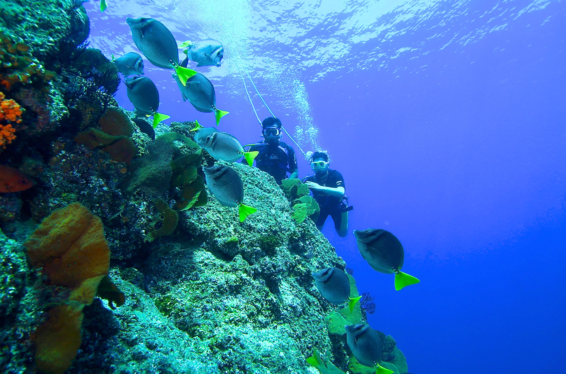 Snorkel en el oceano de Los Cabos Baja California Sur, Mexico