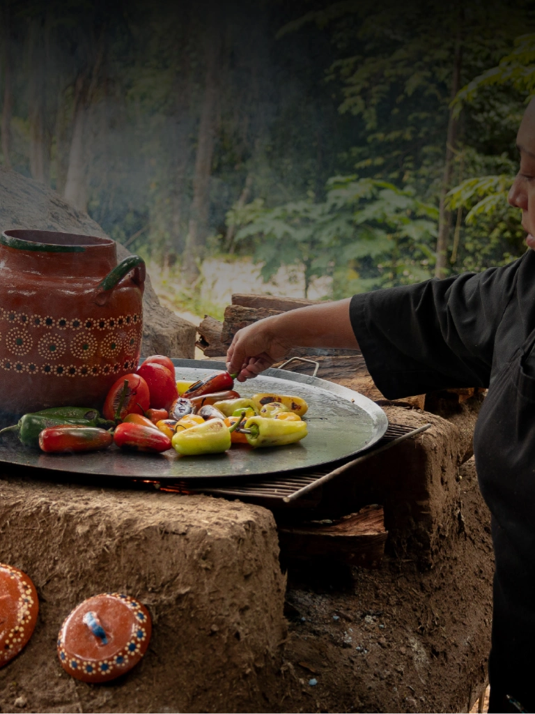 Made in Mexico Cocina Tradicional