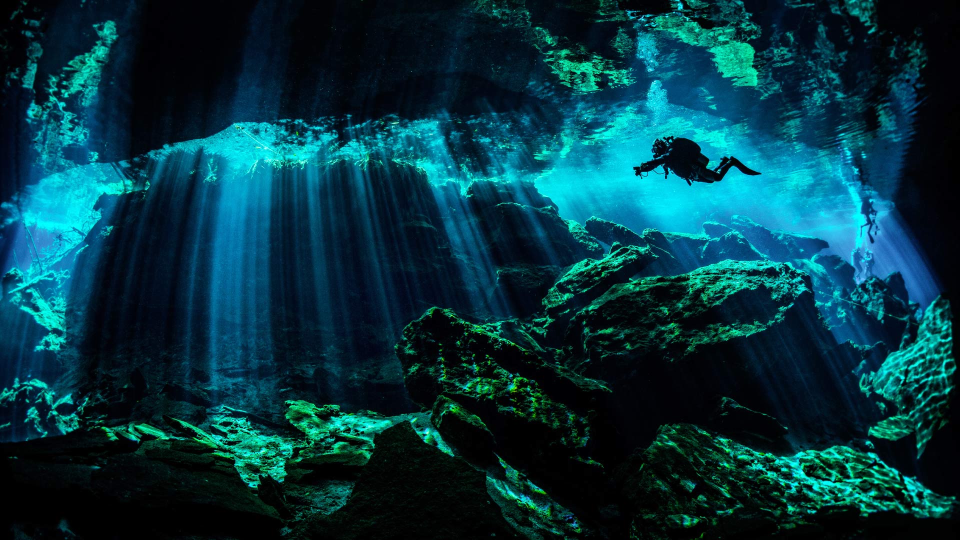 Tour Cenotes Cancun